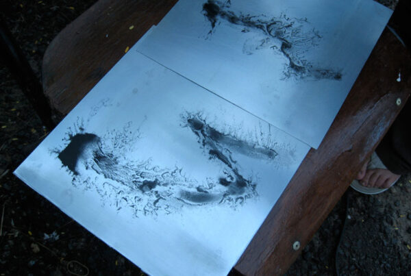 Waterless lithography plates.
